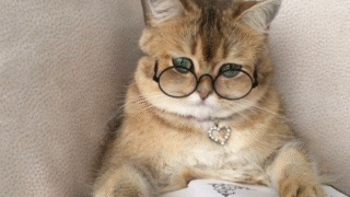 長文を読むためのポエム